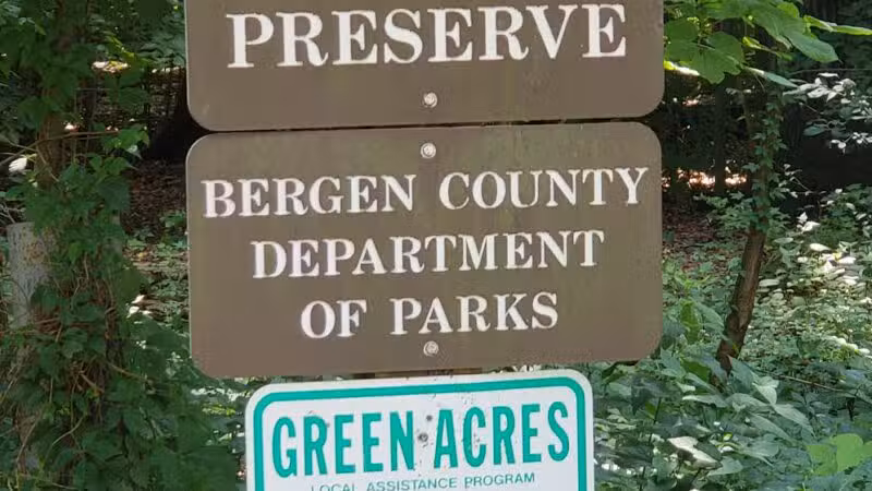 Borg's Woods Nature Preserve - Hackensack, NJ