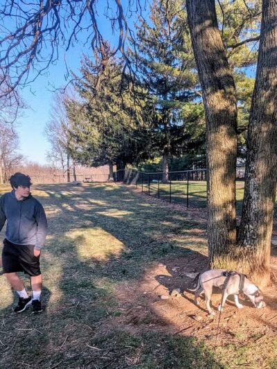 Central Bark - Hagerstown, MD