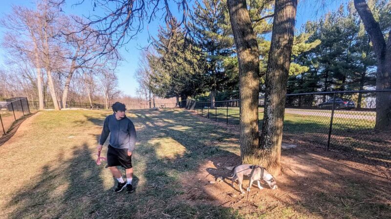 Central Bark - Hagerstown, MD