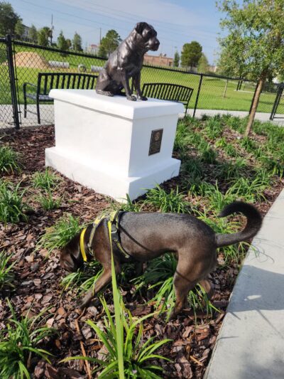 Ember Dog Park - Haines City, FL