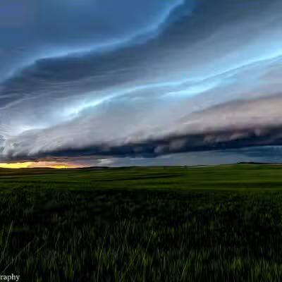 Hammond - Hammond, MT