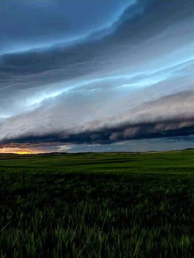 Hammond - Hammond, MT