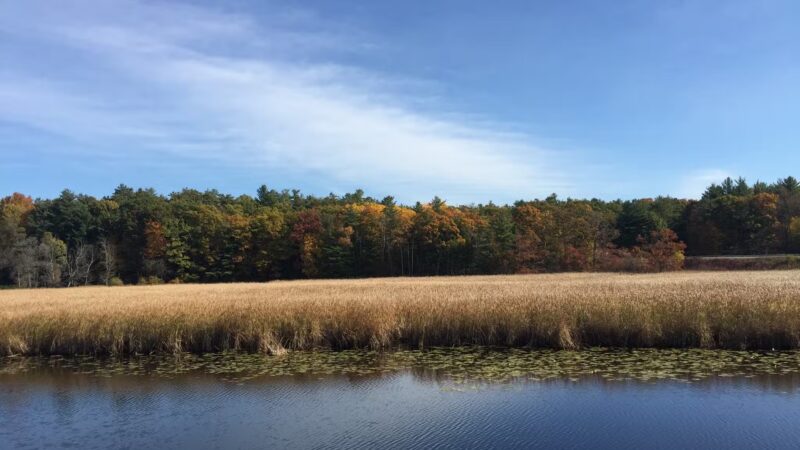 Macsherry Trail - Hammond, NY