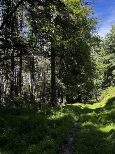 Prettyboy Reservoir - Hampstead, MD