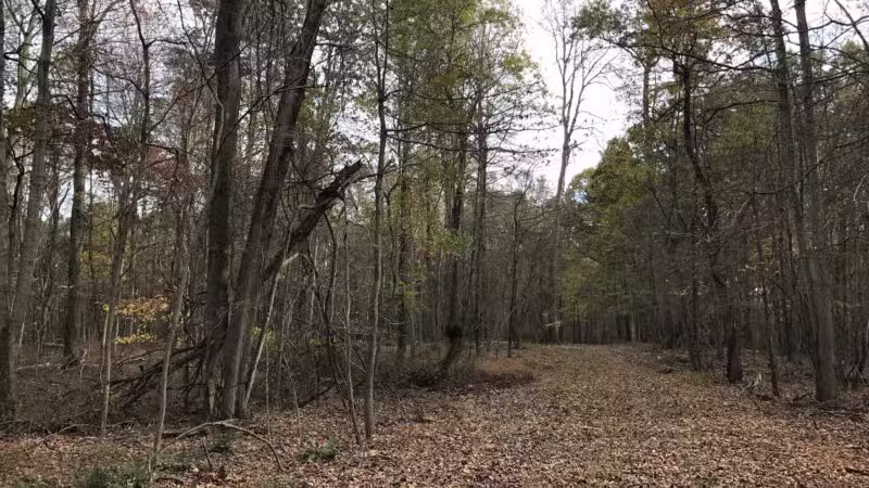 Prettyboy Reservoir - Hampstead, MD