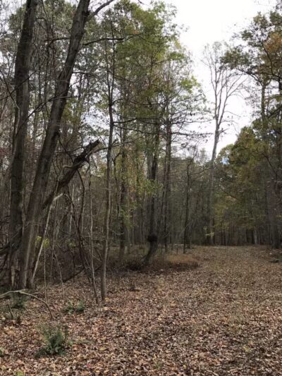 Prettyboy Reservoir - Hampstead, MD