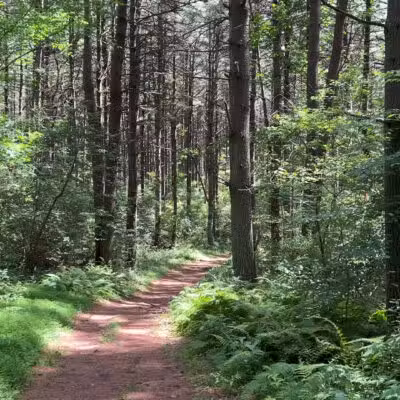 Prettyboy Reservoir - Hampstead, MD