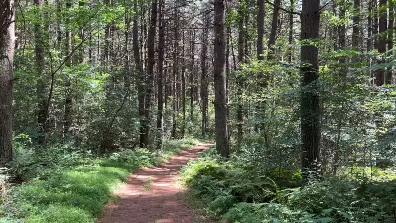 Prettyboy Reservoir - Hampstead, MD