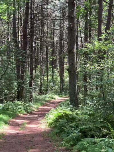 Prettyboy Reservoir - Hampstead, MD
