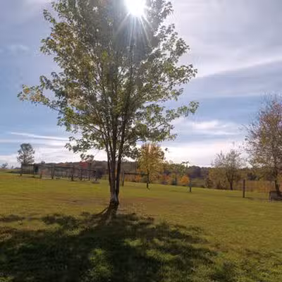 West Manheim Dog Park - Hanover, PA