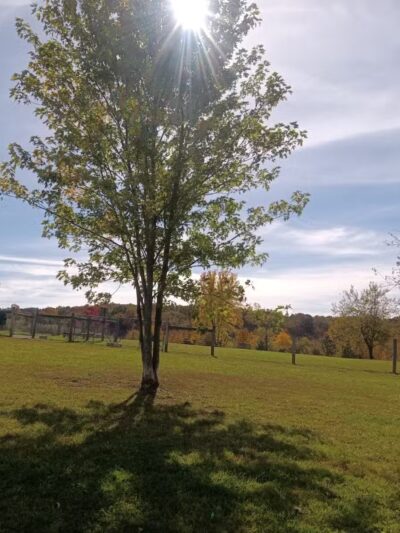 West Manheim Dog Park - Hanover, PA