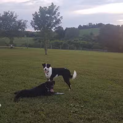 West Manheim Dog Park - Hanover, PA