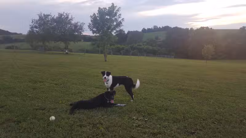 West Manheim Dog Park - Hanover, PA