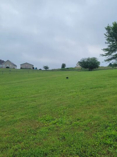 West Manheim Dog Park - Hanover, PA