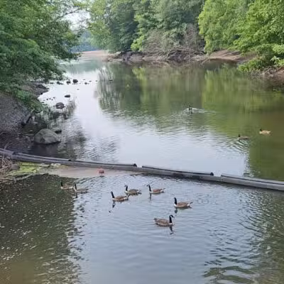 Donald T. Horsey Centennial Park - Harrington Park, NJ