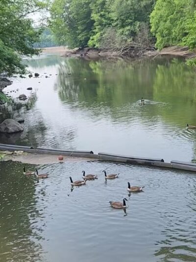 Donald T. Horsey Centennial Park - Harrington Park, NJ