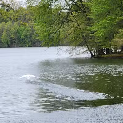 Donald T. Horsey Centennial Park - Harrington Park, NJ