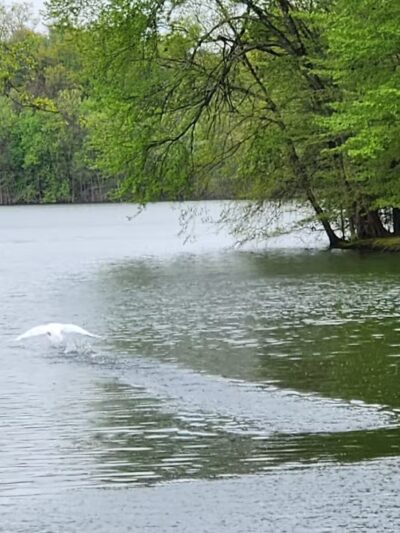 Donald T. Horsey Centennial Park - Harrington Park, NJ