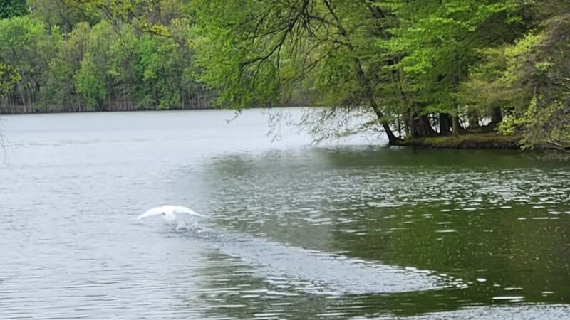 Donald T. Horsey Centennial Park - Harrington Park, NJ