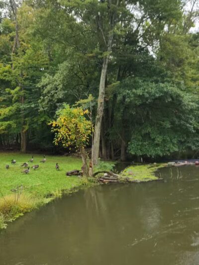 Donald T. Horsey Centennial Park - Harrington Park, NJ