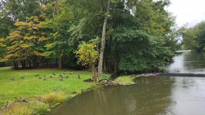 Donald T. Horsey Centennial Park - Harrington Park, NJ