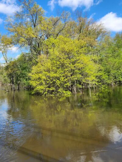 Donald T. Horsey Centennial Park - Harrington Park, NJ