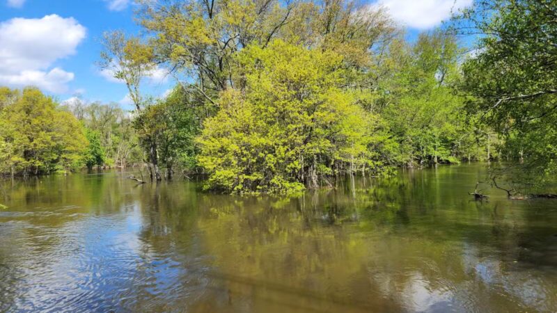 Donald T. Horsey Centennial Park - Harrington Park, NJ