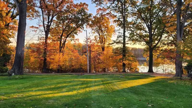 George Street Park - Harrington Park, NJ