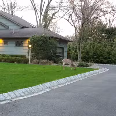 George Street Park - Harrington Park, NJ