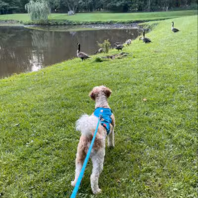 Pondside Park - Harrington Park, NJ