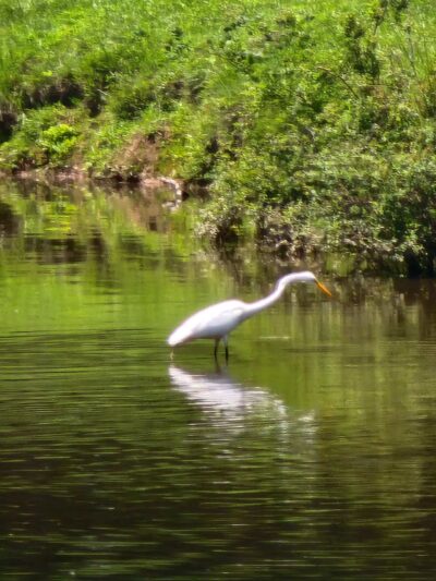 Pondside Park - Harrington Park, NJ