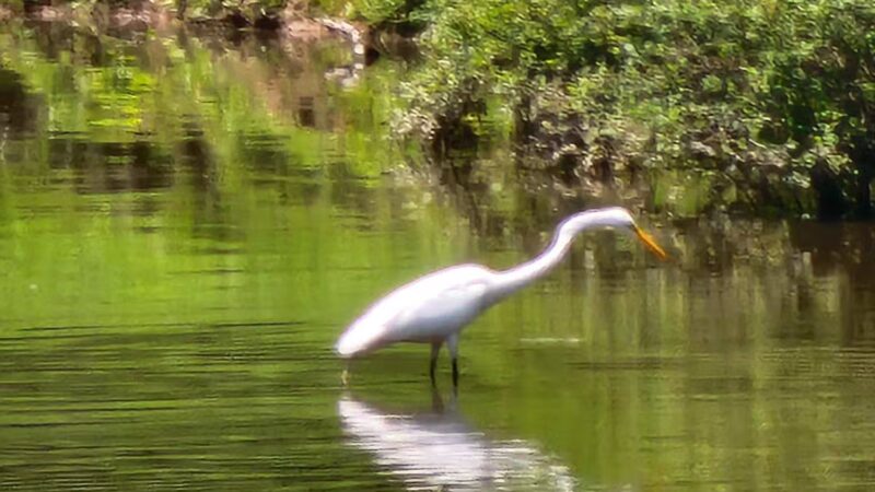 Pondside Park - Harrington Park, NJ