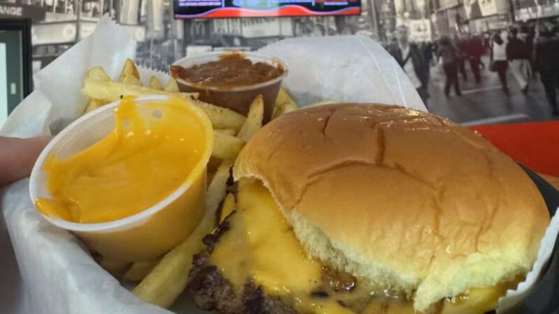 Boulevard Dogs-n-More - Hasbrouck Heights, NJ