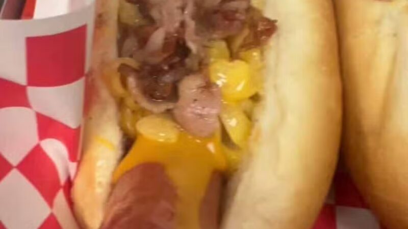 Boulevard Dogs-n-More - Hasbrouck Heights, NJ