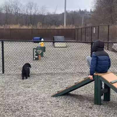 Wanaque Dog Park - Haskell, NJ