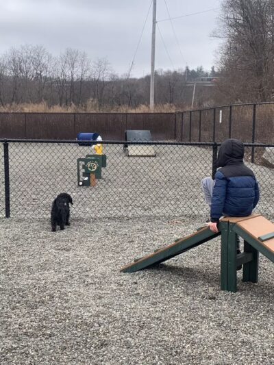 Wanaque Dog Park - Haskell, NJ