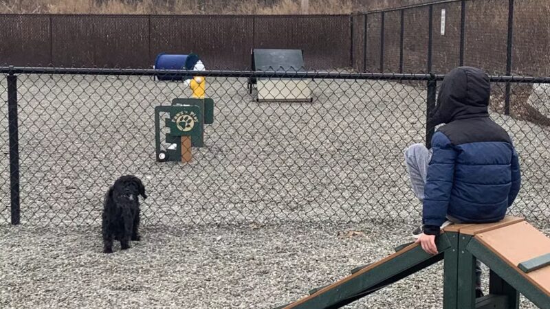 Wanaque Dog Park - Haskell, NJ