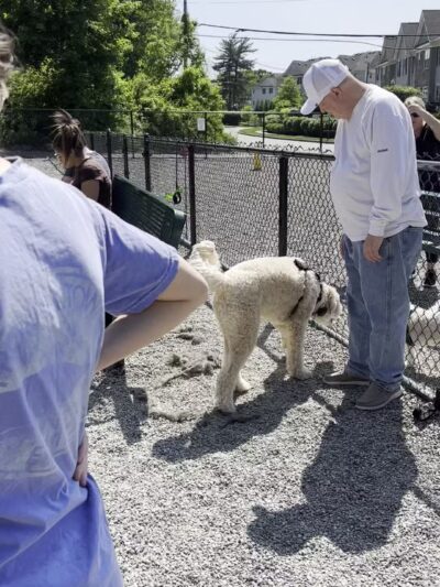 Wanaque Dog Park - Haskell, NJ