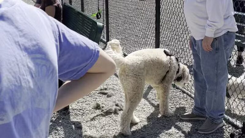 Wanaque Dog Park - Haskell, NJ