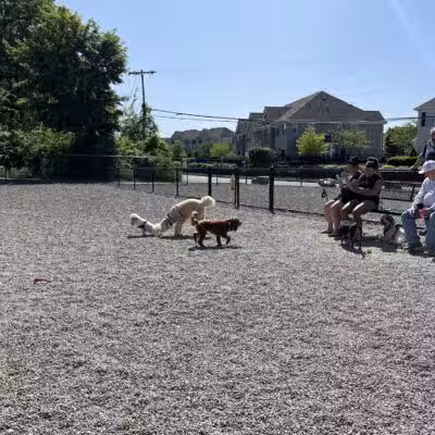 Wanaque Dog Park - Haskell, NJ