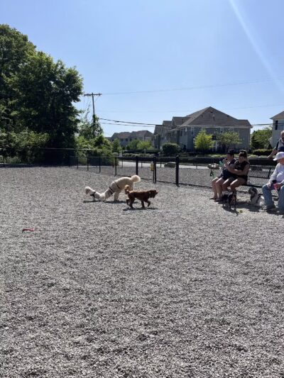 Wanaque Dog Park - Haskell, NJ