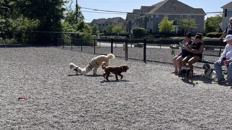 Wanaque Dog Park - Haskell, NJ