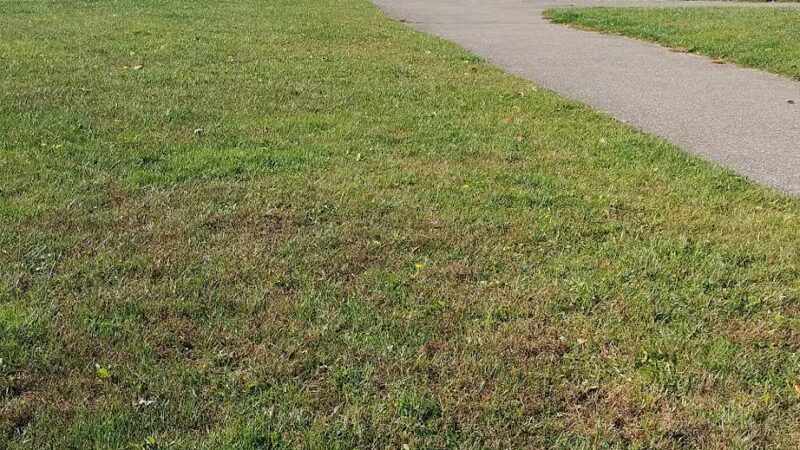 Chapel Road Park - Havre De Grace, MD