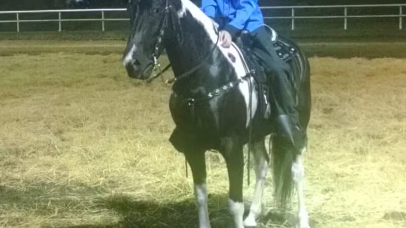 Haysi Kiwanis Park - Haysi, VA