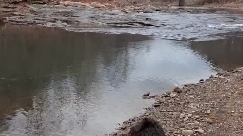 Haysi Town Park - Haysi, VA