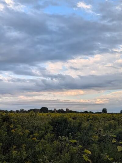 Lake View Pond Trail and Beach Access - Henderson, NY