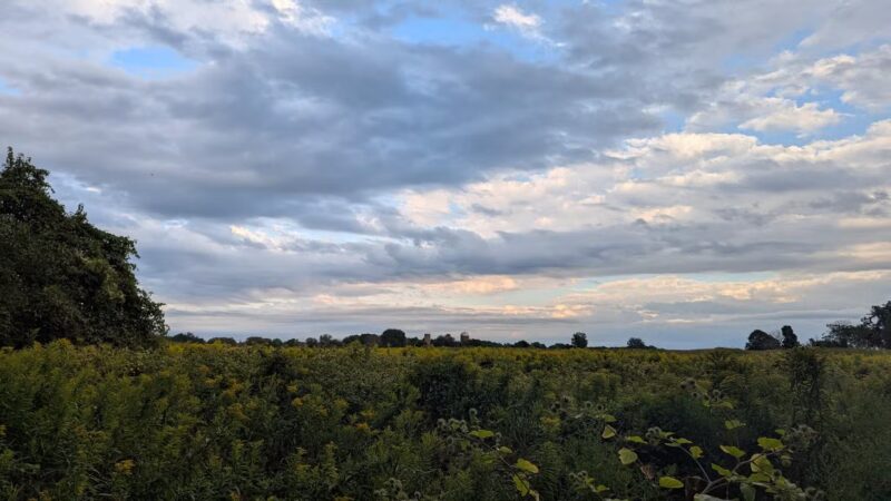 Lake View Pond Trail and Beach Access - Henderson, NY