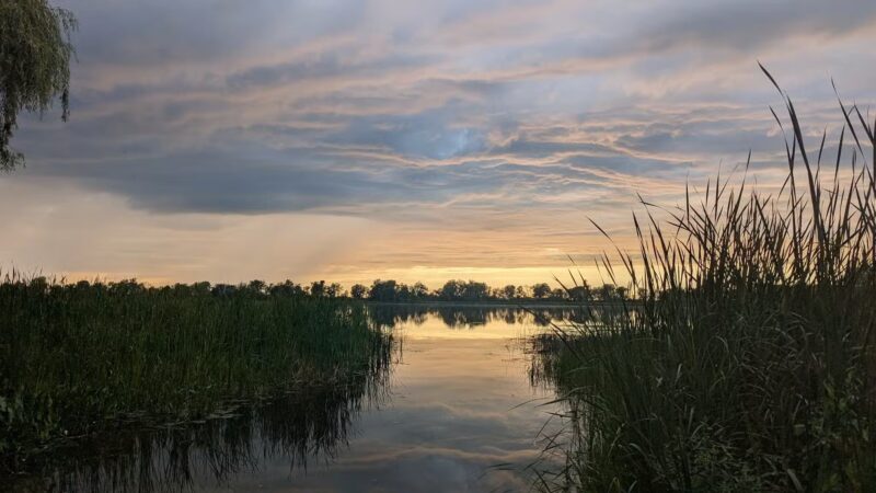Lake View Pond Trail and Beach Access - Henderson, NY
