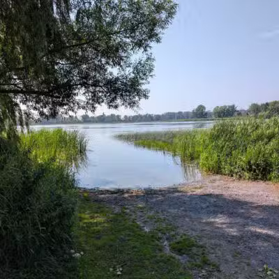 Lake View Pond Trail and Beach Access - Henderson, NY