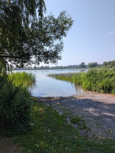 Lake View Pond Trail and Beach Access - Henderson, NY